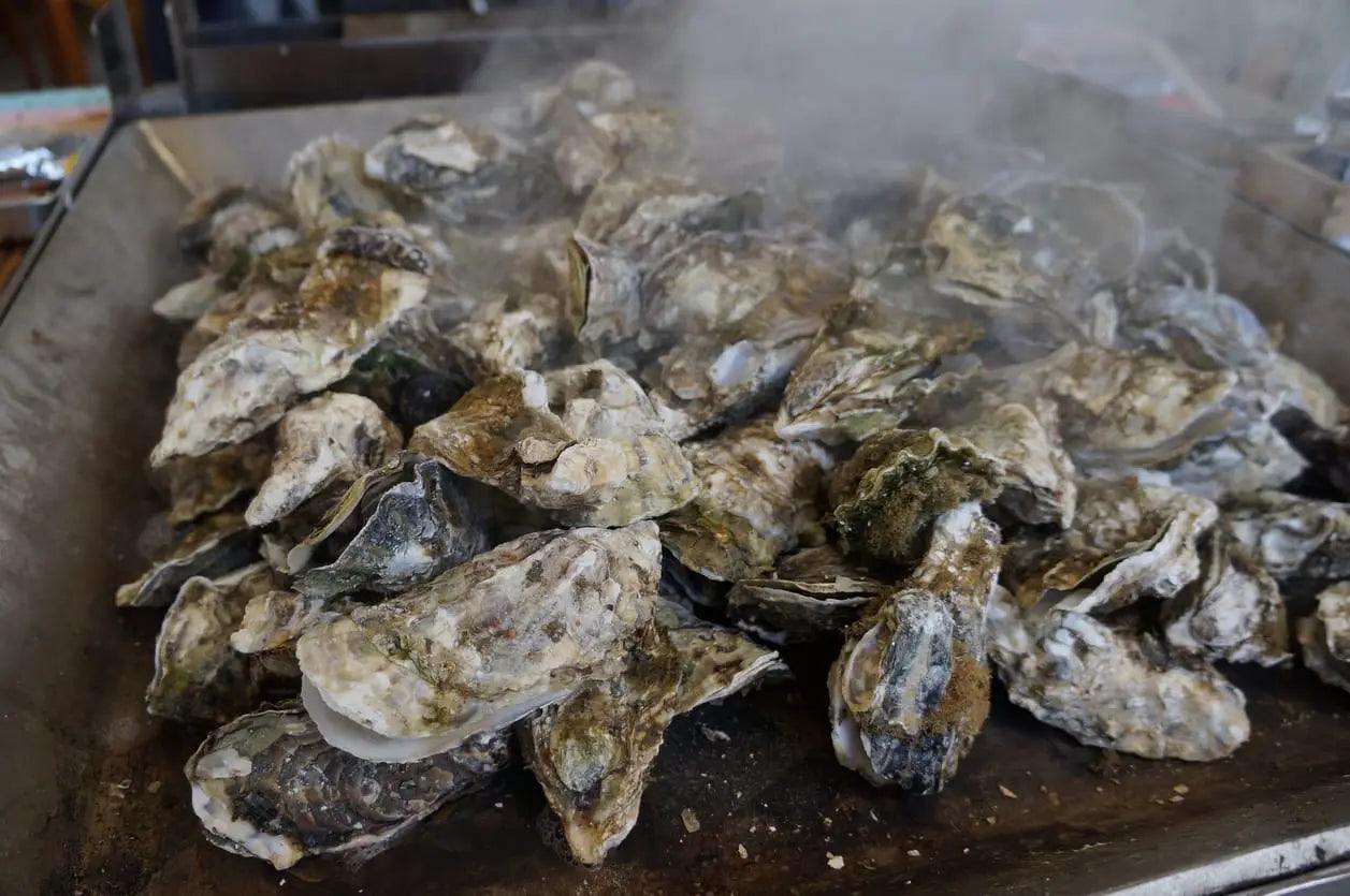 Shuck it Up: The Ultimate Guide to Cooking Oysters at Home