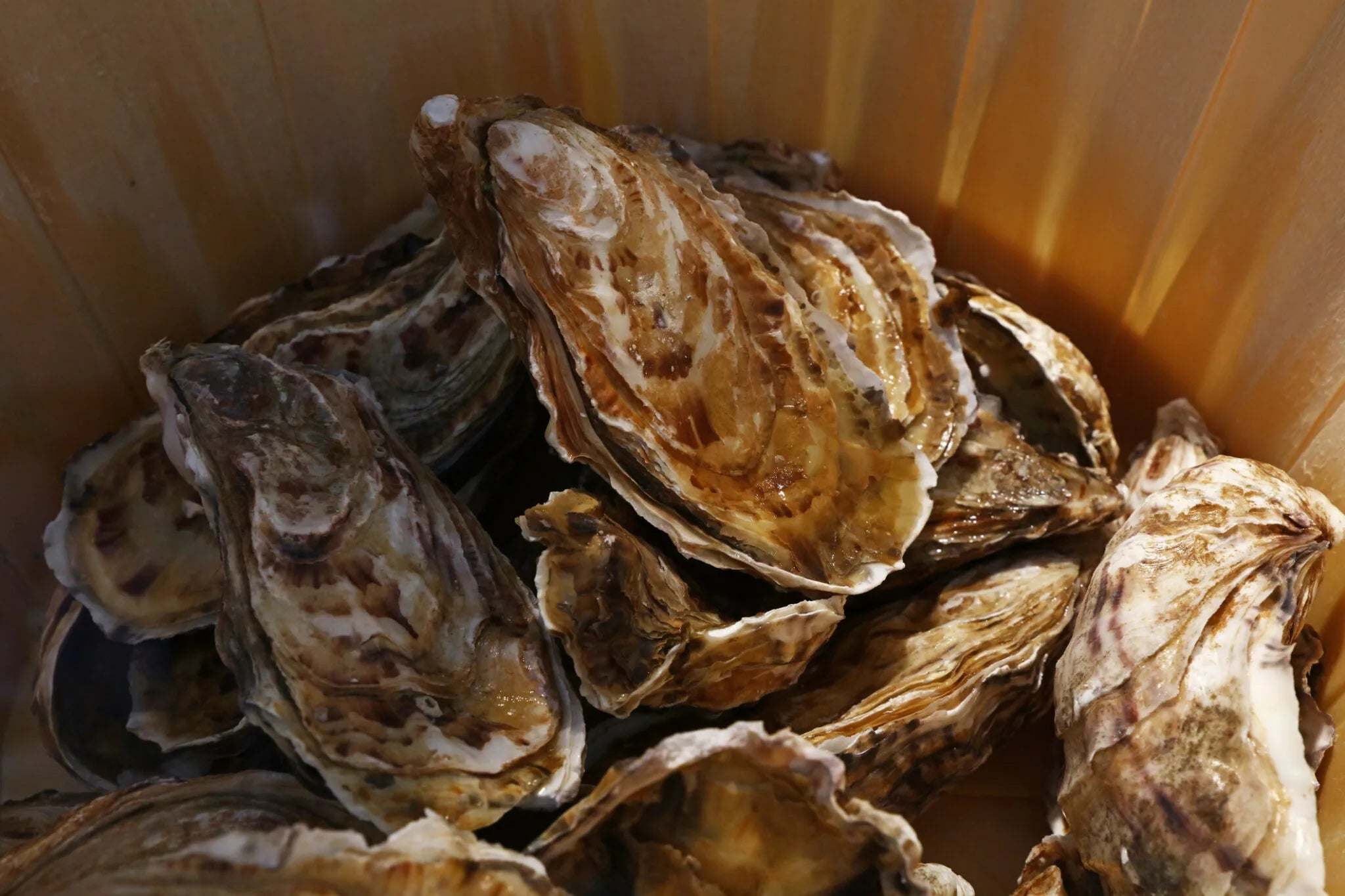 Steamed Oysters for a Perfect Outdoor Get Together