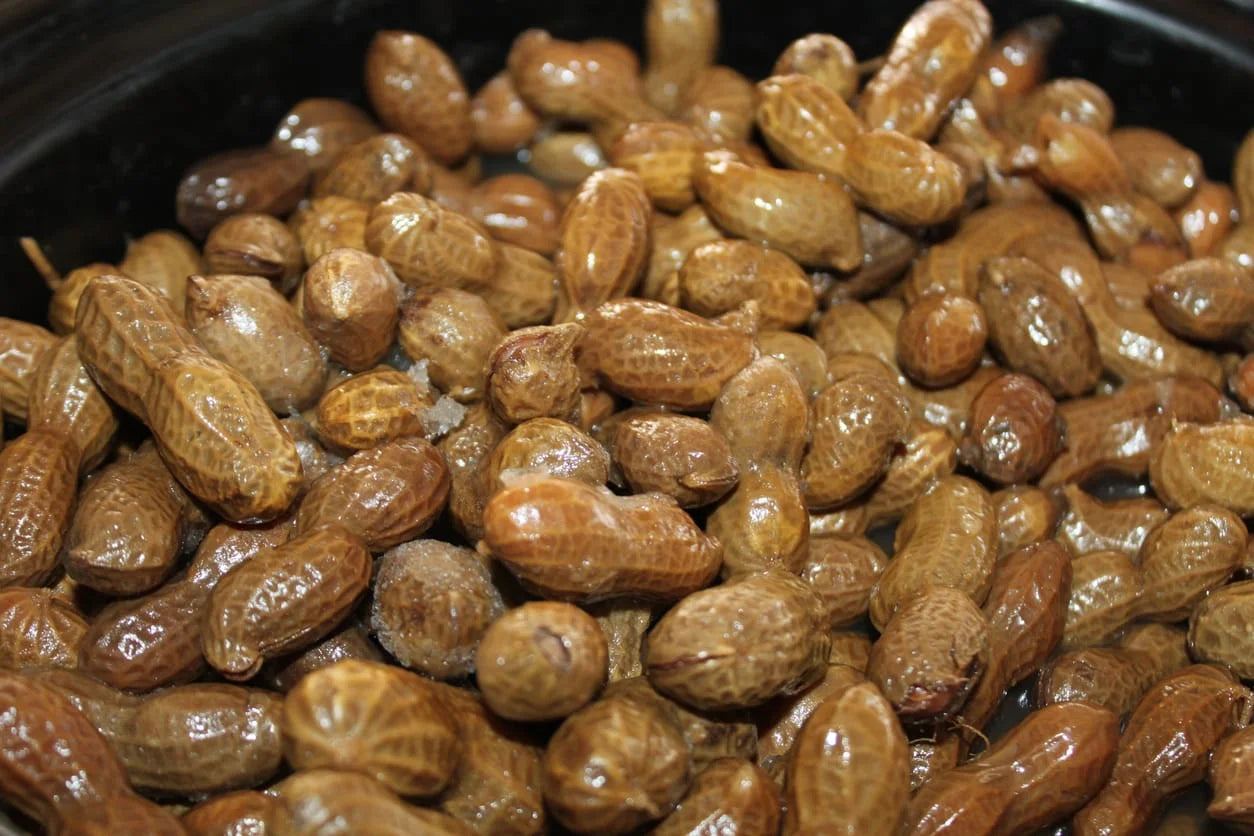 5 Mouthwatering Boiled Peanut Recipes You Need to Try Today