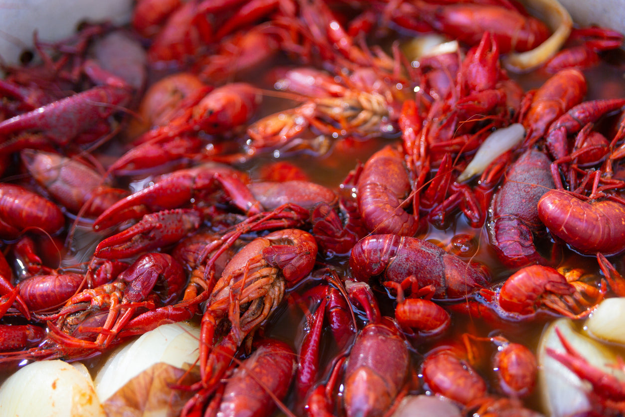 Seafood Boil Broth