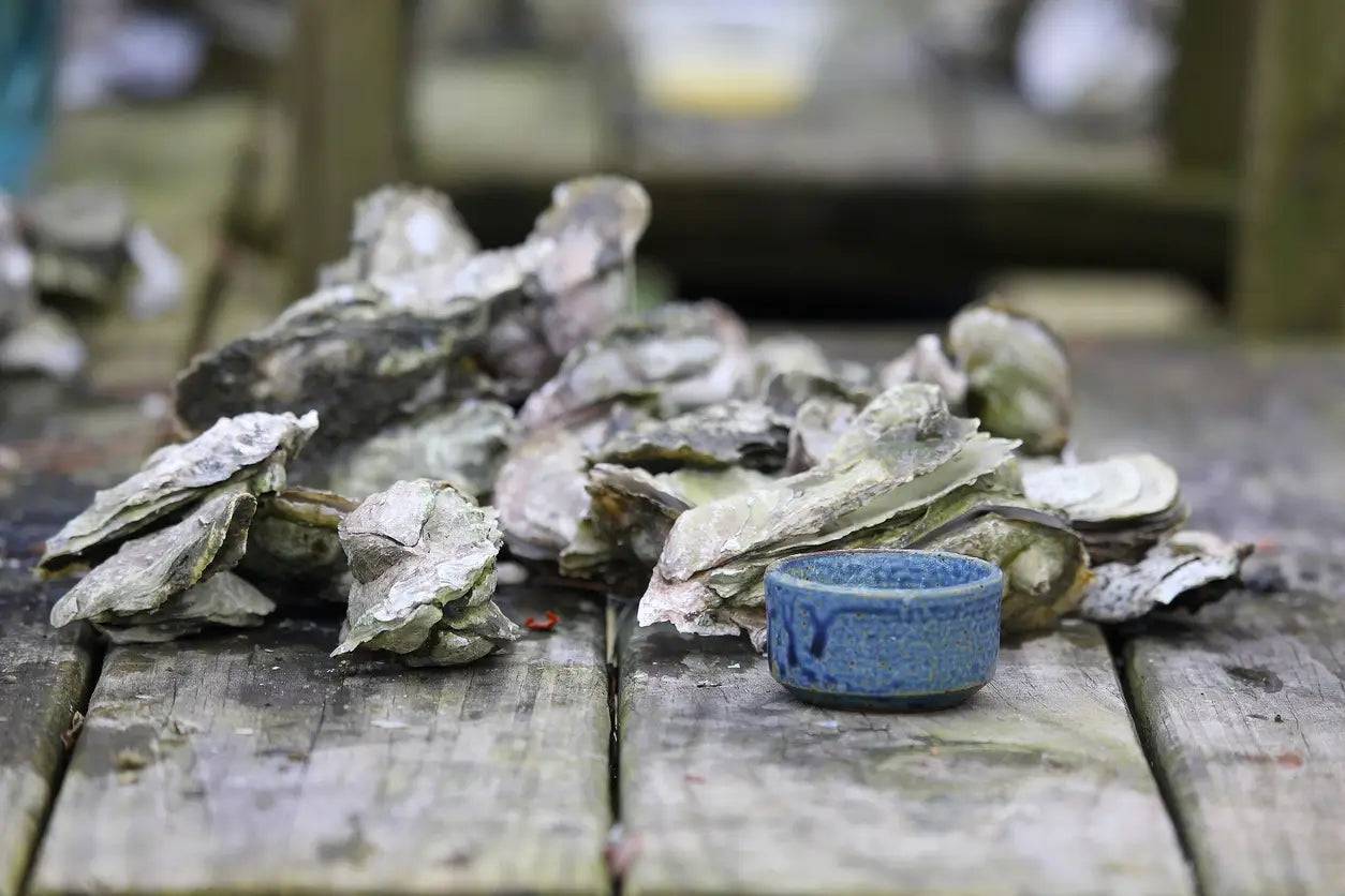 How to host an Oyster Roast